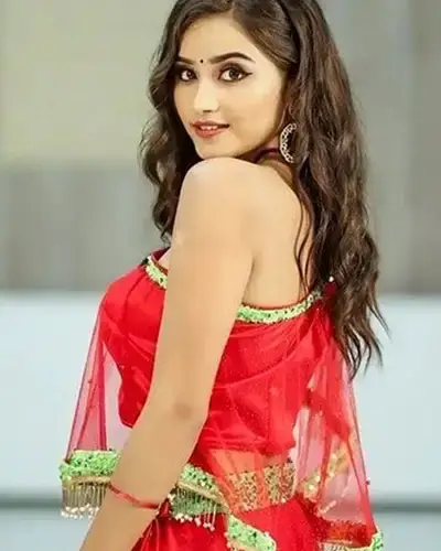 Call Girls Service Porsa